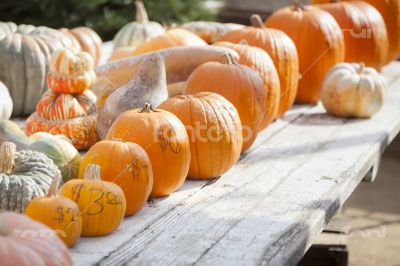 Fresh Orange Pumpkins and Hay in Rustic Fall Setting