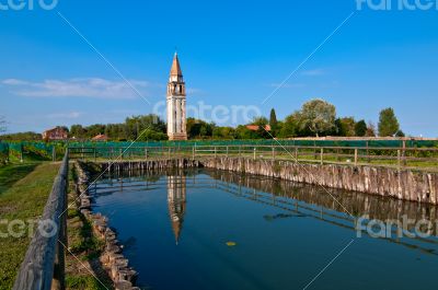 Venice Burano Mazorbo vineyard