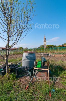 Venice Burano Mazorbo vineyard