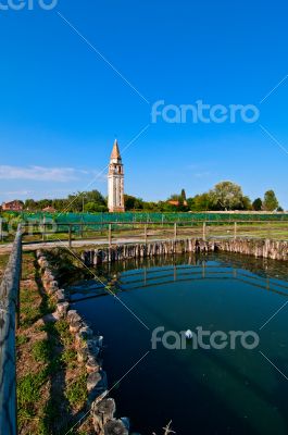 Venice Burano Mazorbo vineyard