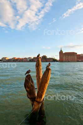 Venice Italy lagune view with bricole