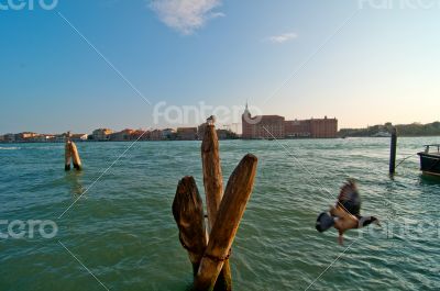 Venice Italy pittoresque view