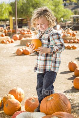 Little Boy Holding His Pumpkin at a Pumpkin Patch
