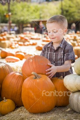 Little Boy Gathering His Pumpkins at a Pumpkin Patch