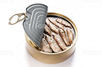 Tinned Sardines