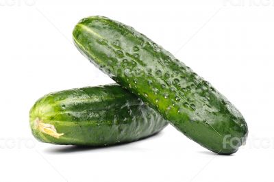 Cucumber