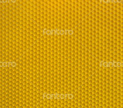 Honeycomb