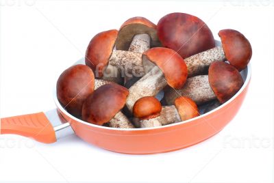 The pan filled with mushrooms intended for cooking.Photographed 