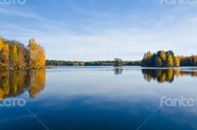 Fall reflections in water