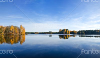 Fall reflections in water