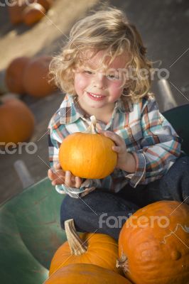Little Boy Sitting and Holding His Pumpkin at Pumpkin Patch
