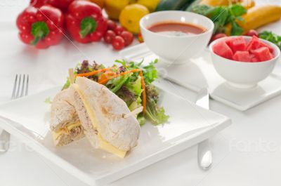 tuna and cheese sandwich with salad