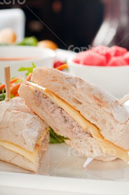 tuna and cheese sandwich with salad