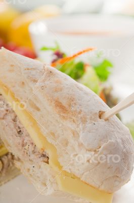 tuna and cheese sandwich with salad