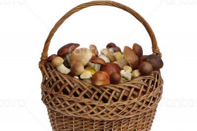 Mushrooms in a wicker basket on a white background.