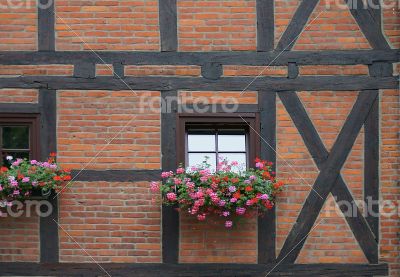 Flowers at the Window