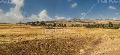 Suba Landscape