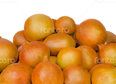 Large onions onions on a white background.