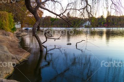 Zoo lake