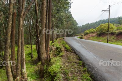 Mount Entoto Road