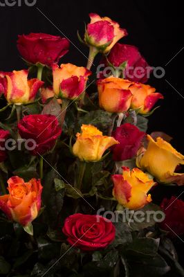 Rose bouquet