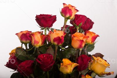 Rose bouquet