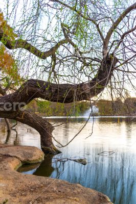 Zoo lake