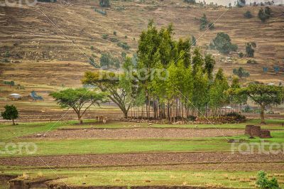 Life in the countryside