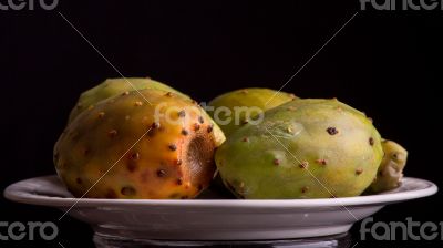 Prickly pear cactus