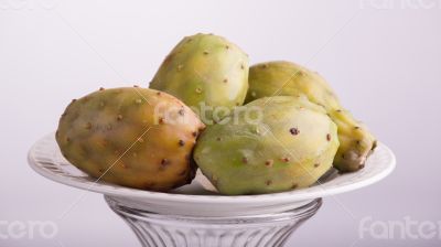 Prickly pear cactus