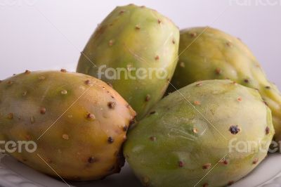 Prickly pear cactus