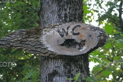 A sign with the words `WC` on the tree.