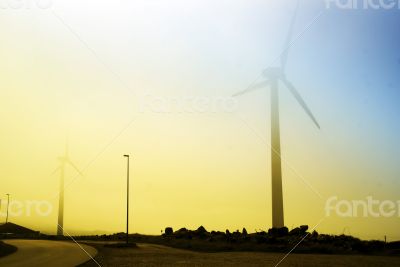 Summer in Denmark