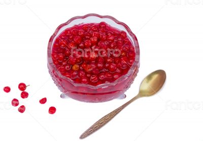 Viburnum berries in syrup on a white background.