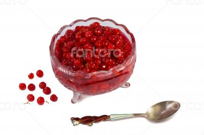 Viburnum berries in syrup on a white background.