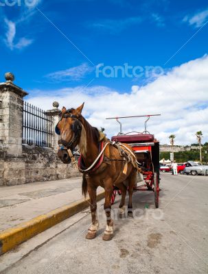 Caribbean Cuba Havana horse coach
