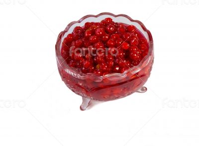 Viburnum berries in syrup on a white background.