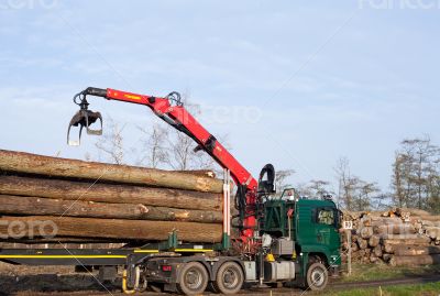 Transport of cleared trees trunks