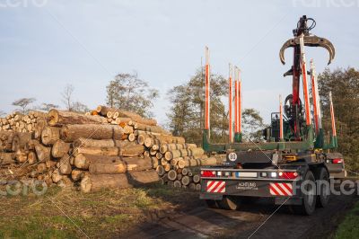 Transport of cleared trees