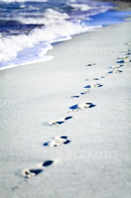 Footprints on a Caribbean beach 2