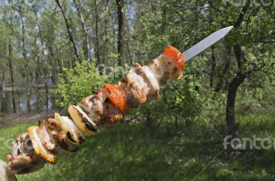 Raw shashlik on a skewer