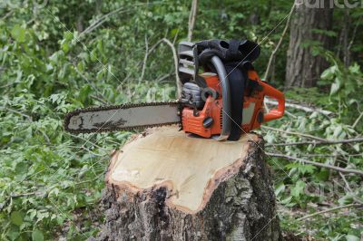 Chainsaw on a stump