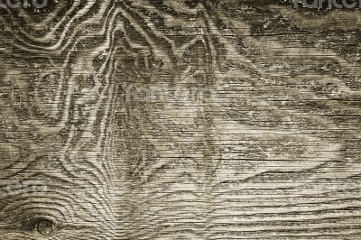 Old wood texture