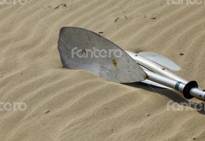 Kayak paddles laying in the sand