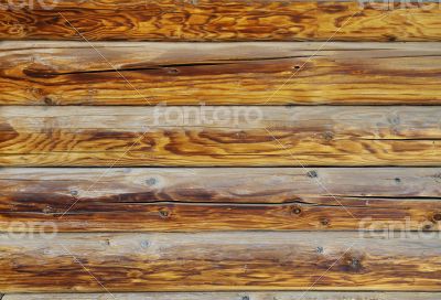 Timbered background
