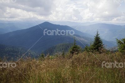 Carpathian mountains