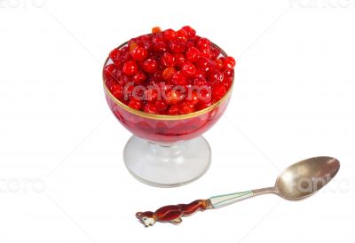 Viburnum berries in syrup on a white background.