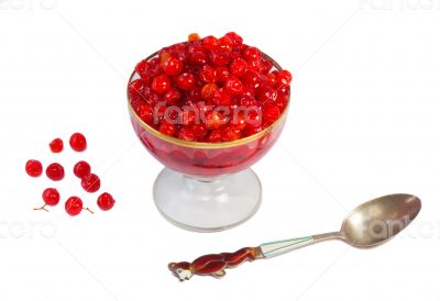 Viburnum berries in syrup on a white background.