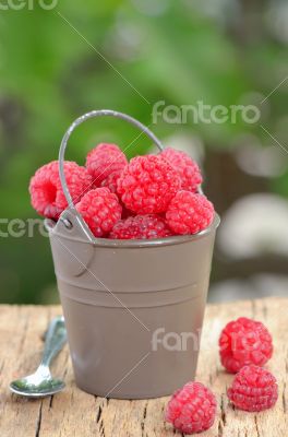 raspberry on wooden background