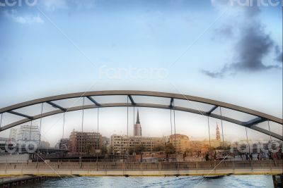 Hamburg and its Bridges